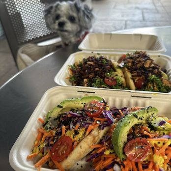 Leahi Health Aina Haina - Rainbow and Avocado Kale tacos enjoyed with our Shi Tzu. - Vegan Near Me - Honolulu, Hawaii Leahi Health Aina Haina - Rainbow and Avocado Kale tacos enjoyed with our Shi Tzu. - Vegan Near Me - Honolulu, Hawaii