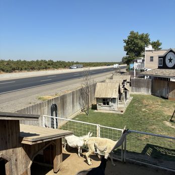 Bravo Farms Traver - Farm animals - Cheese Shops Near Me - Traver, California