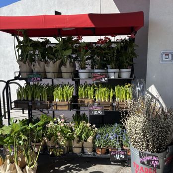 Trader Joe's - Grocery Near Me - Gilbert, Arizona