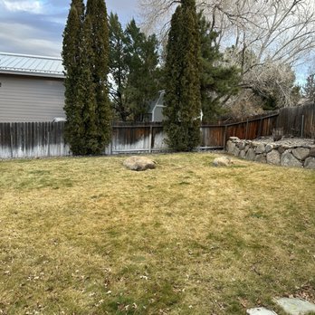 Monjas Landscaping - No tree - Landscaping Near Me - Reno, Nevada