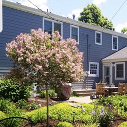 Executive Painting & Pressure Washing