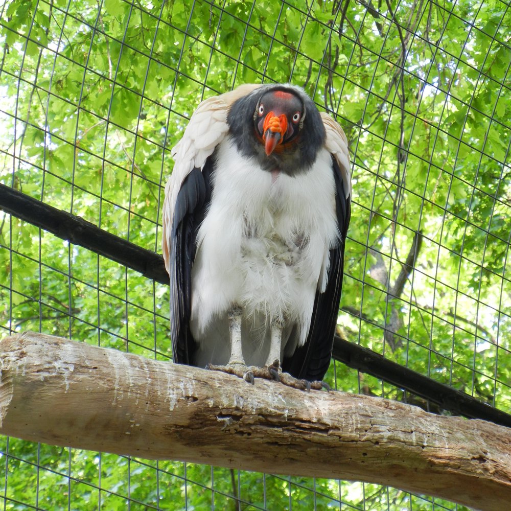 Aquarium Berlin - Aquariums Near Me - Berlin, BE Aquarium Berlin - Aquariums Near Me - Berlin, BE