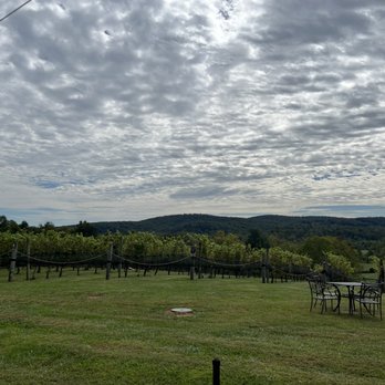 50 West Vineyards - Wineries Near Me - Middleburg, Virginia 50 West Vineyards - Wineries Near Me - Middleburg, Virginia