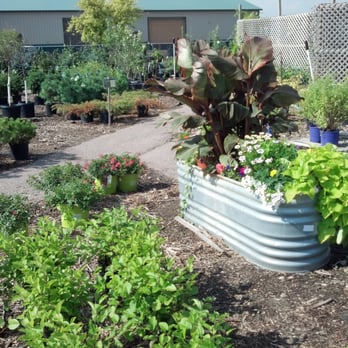 Southdale Nursery & Garden - Plenty to choose from. - Nurseries & Gardening Near Me - Sergeant Bluff, Iowa Southdale Nursery & Garden - Plenty to choose from. - Nurseries & Gardening Near Me - Sergeant Bluff, Iowa