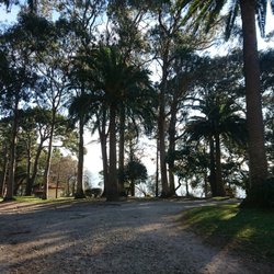 Mataleñas