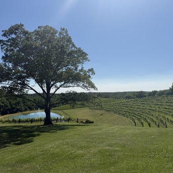 Montaluce Winery & Restaurant - Scenery - Venues & Event Spaces Near Me - Dahlonega, Georgia Montaluce Winery & Restaurant - Scenery - Venues & Event Spaces Near Me - Dahlonega, Georgia