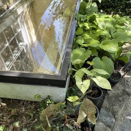 New Skylight and sealant Installed