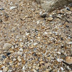 Marineland Beach