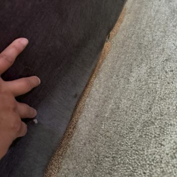 Source Pest Control - Tilting the couch released termite droppings from inside the couch - Pest Control Near Me - Temecula, California