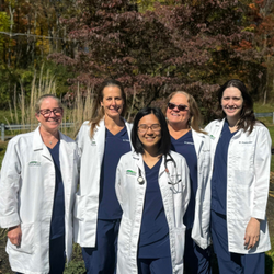 Green Valley Animal Hospital - Maryland