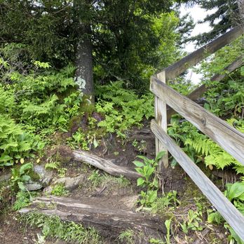Waterrock Knob - Parks Near Me - Scott Creek, North Carolina