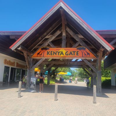 African Lion Safari by null