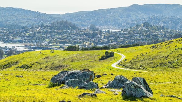 Ring Mountain Preserve by null