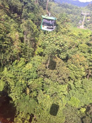 Genting SkyWay by null