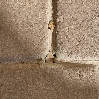 Bug Science - A detailed close-up of a wall surface with a vertical crack running through it. The wall has a rough, textured finish with visible debris and damage around the crack, indicating structural deterioration or impact. The surface appears to be made of a stucco or similar material, with uneven areas and small fragments near the crack. - Pest Control Near Me