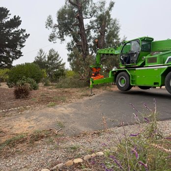 Jts - Tree Services Near Me - Nipomo, California Jts - Tree Services Near Me - Nipomo, California