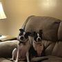 Photo of Fayette Veterinary Hospital