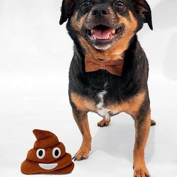 Redlands Animal Shelter - Animal Shelters Near Me - Redlands, California Redlands Animal Shelter - Animal Shelters Near Me - Redlands, California