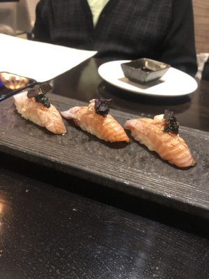 Purple Shell Boston by null