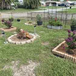 Canterbury Farms Wholesale Nursery - Both purples with a pink purchased at Lowes...you can see the difference for yourself.