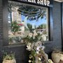 Photo of Galleria Florist