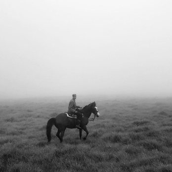 Paniolo Adventures - Horseback Riding Near Me Paniolo Adventures - Horseback Riding Near Me