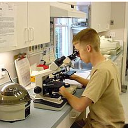 riverside pet cremation