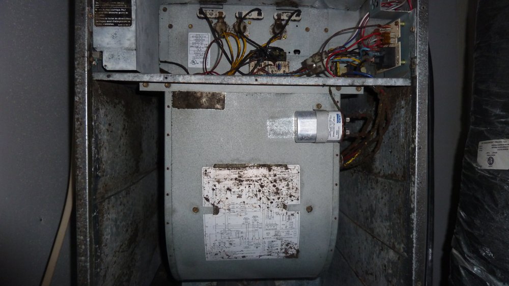 Aladdin Environmental - mold inspector in San Antonio, TX