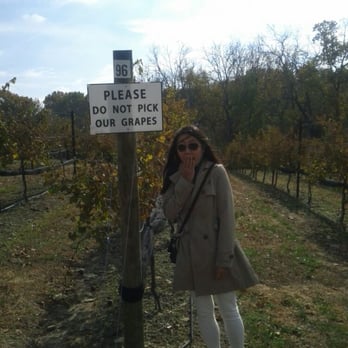 Arrington Vineyards - Oops - Wine Tasting Room Near Me - Arrington, Tennessee Arrington Vineyards - Oops - Wine Tasting Room Near Me - Arrington, Tennessee