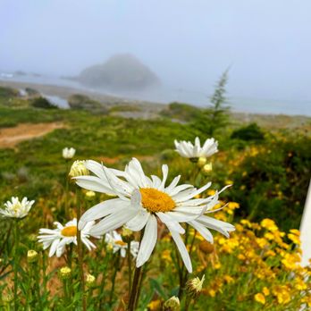 Elk Cove Inn & Spa - Wine Bars Near Me - Elk, California Elk Cove Inn & Spa - Wine Bars Near Me - Elk, California