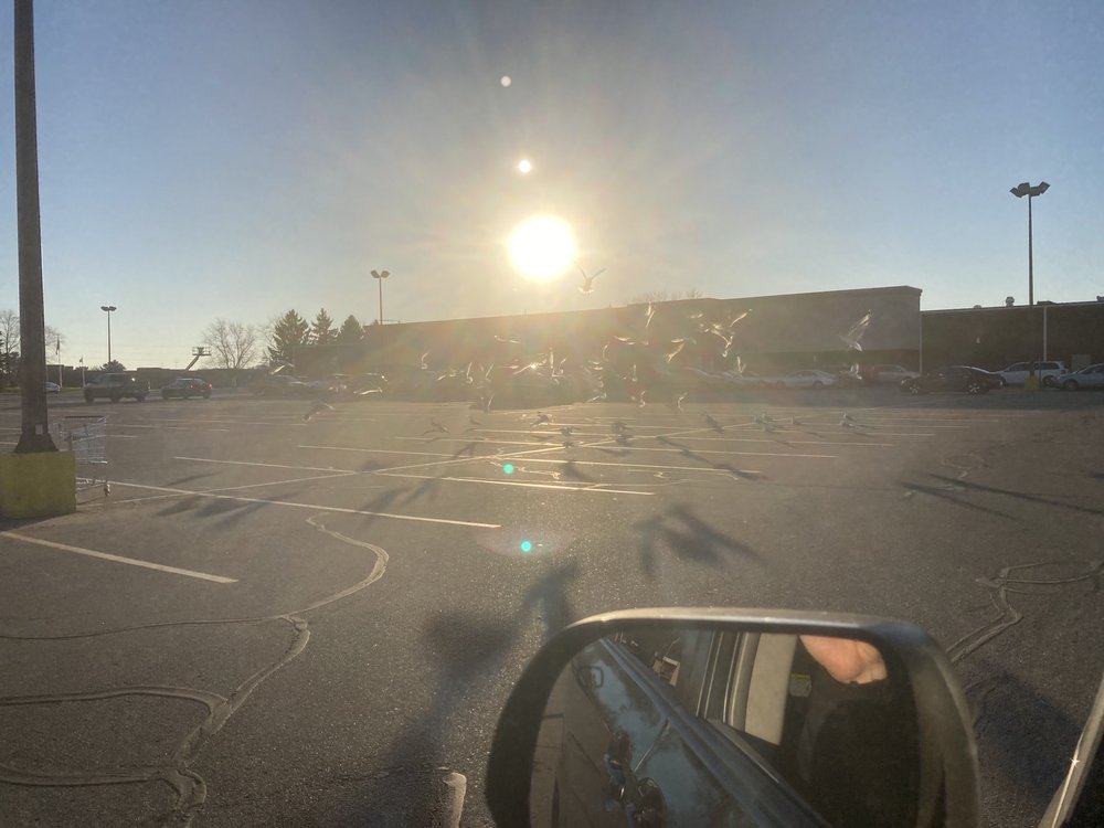 HARDINGS MARKET PLACE Updated September 2024 19 Photos & 21 Reviews 6330 S Westnedge Ave