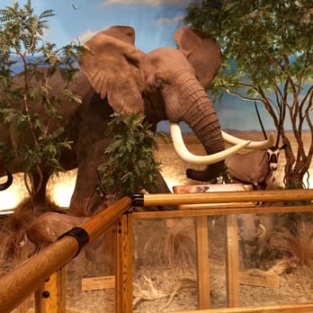 Cabela's - Outdoor Gear Near Me - Gonzales, Louisiana