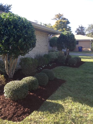 Sean's Landscaping by null