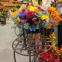 Designs By Judy - Halloween Fun!!