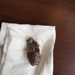 Chocolate turd Chocolate turd