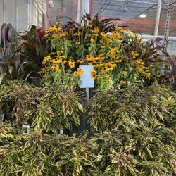 The Home Depot