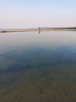 Grant Village Campground by null