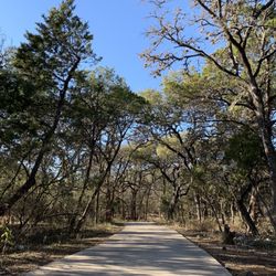 Walking path