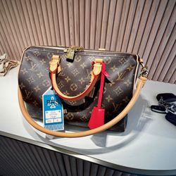 Louis Vuitton Palm Desert - Speedy bag