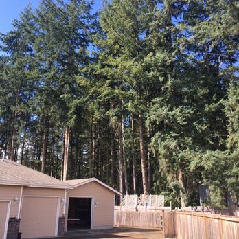 Wright's Logging & Tree Service - Tree Services Near Me Wright's Logging & Tree Service - Tree Services Near Me