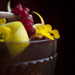 The Fat Bear - Temp. CLOSED