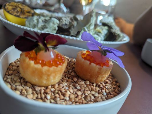 The Pescatarian by null