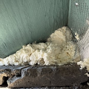 Eagle Shield Pest Control - Pest Control Near Me
