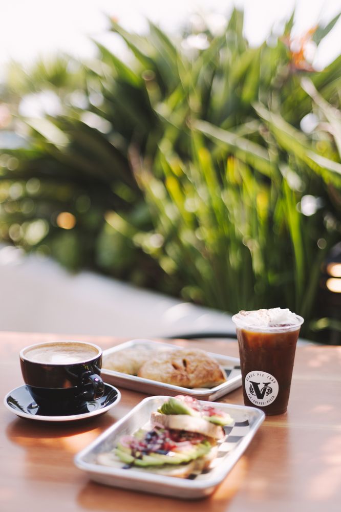 VENUS PIE TRAP Updated November 2024 93 Photos & 63 Reviews 113