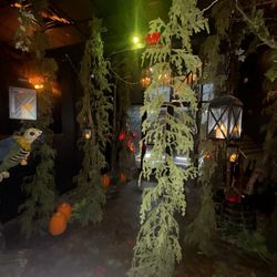 Hidden Pines Restaurant