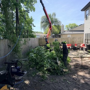 Durham Parkers Tree Service - A look on the ground after a tree limb felled. - Tree Services Near Me - Atlantic Beach, Florida Durham Parkers Tree Service - A look on the ground after a tree limb felled. - Tree Services Near Me - Atlantic Beach, Florida