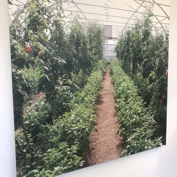 The Cafe at Wave Hill - a path through a garden - Venues & Event Spaces Near Me - Bronx, New York The Cafe at Wave Hill - a path through a garden - Venues & Event Spaces Near Me - Bronx, New York