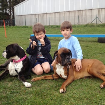 fundogkids - die Kinderhundeschule- - Die Boxer und wir ... !!! - Pet Training Near Me - Bargteheide, SH fundogkids - die Kinderhundeschule- - Die Boxer und wir ... !!! - Pet Training Near Me - Bargteheide, SH