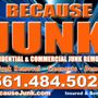 Photo of Because Junk