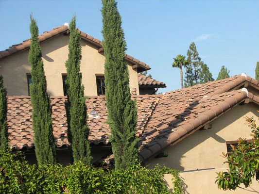 Rain Guard Roofing Logo